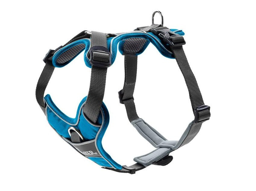 DIVO Harness