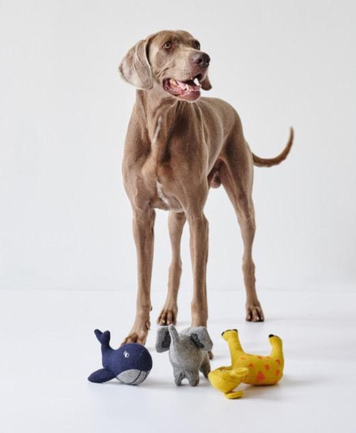 Weimaraner toys outlet