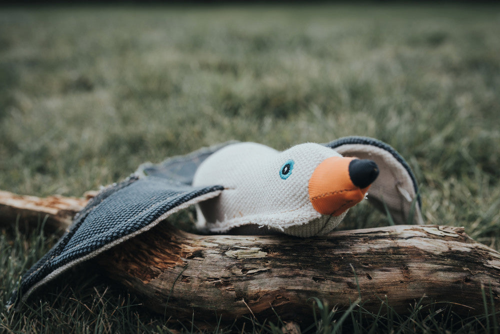 Seagull dog outlet toy