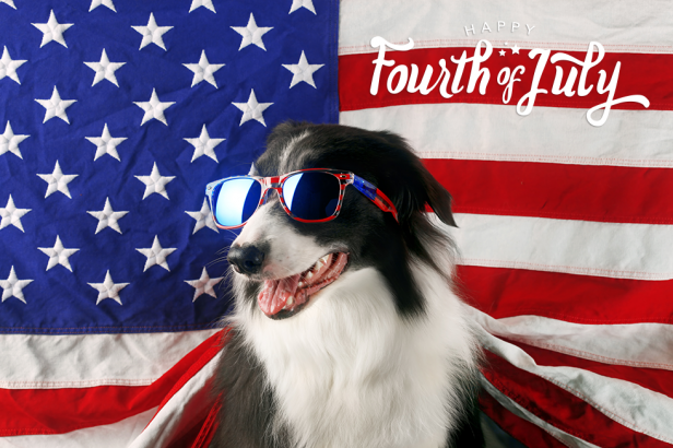 Make The Fourth easier for your pet