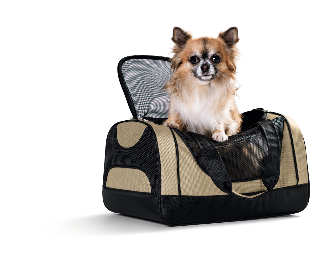 Traveling with Your Furry Friend: What to Look for in a Dog Travel Carrier