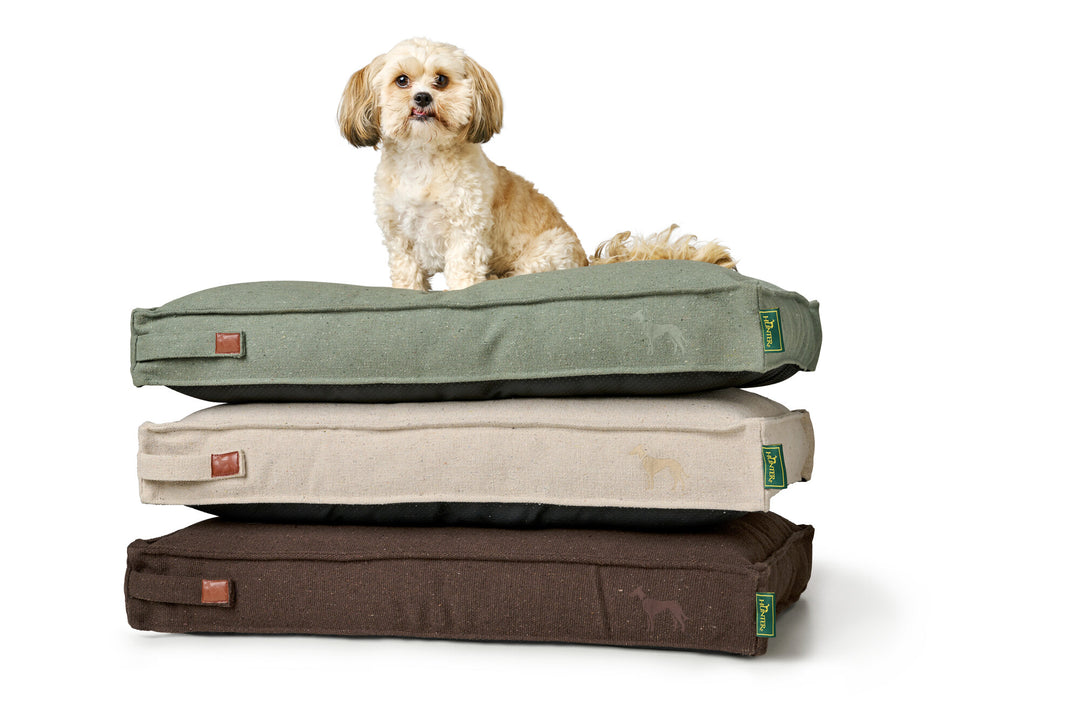 Finding the Perfect Bed for Your Furry Friend: A Guide to Dog Beds and Their Benefits