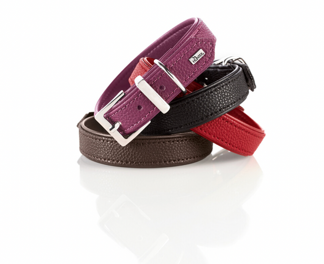 Stylish and Sustainable: Exploring Vegan Leather Dog Collars and Leashes