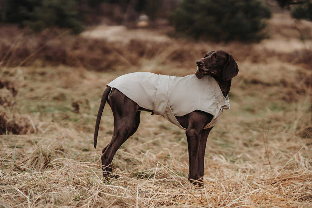 Hunter dog coats best sale