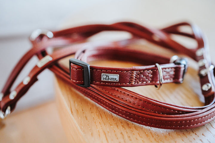 CANADIAN UP Petit Adjustable Leash - Hunter Pet Store -versatile training leash for dogs -3-fold adjustment -with premium leather from ecological and socially responsible production -particularly soft and supple feel -noble and luxurious - for highest demands -made in Germany