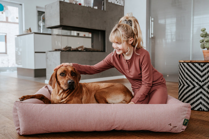 INARI Sofa