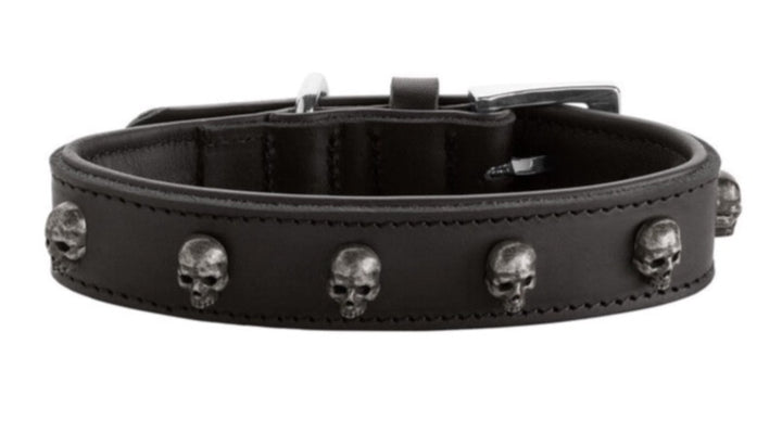 TIJUANA Collar - Hunter Pet Store -classic collar, universally useable -particularly tough and hard-wearing leather -with decorative skull trim -with leather key ring -made in Germany