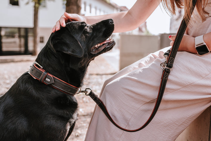 CANADIAN UP Adjustable Leash