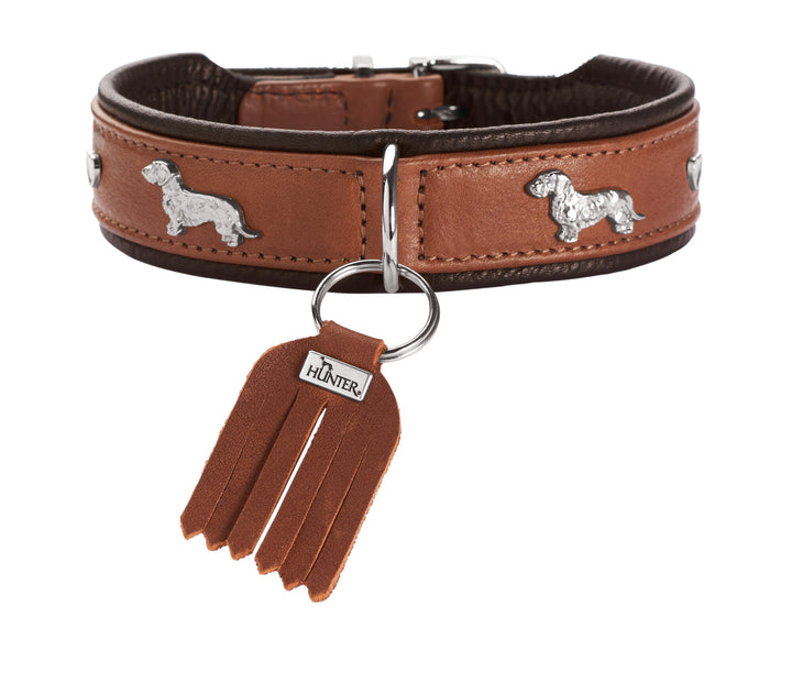 MÜNCHEN Dachshund Collar - Hunter Pet Store -Classic collar for dogs with eye-catching trimmings in traditional look -With premium leather from ecological and socially responsible production -Noble and luxurious - for the highest demands -Particularly soft and supple feel -Gentle processing for high wearing comfort -Made in Germany