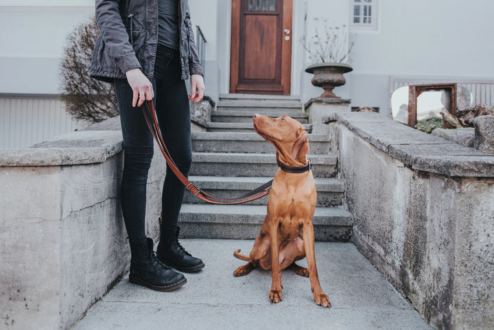 CODY Adjustable Leash