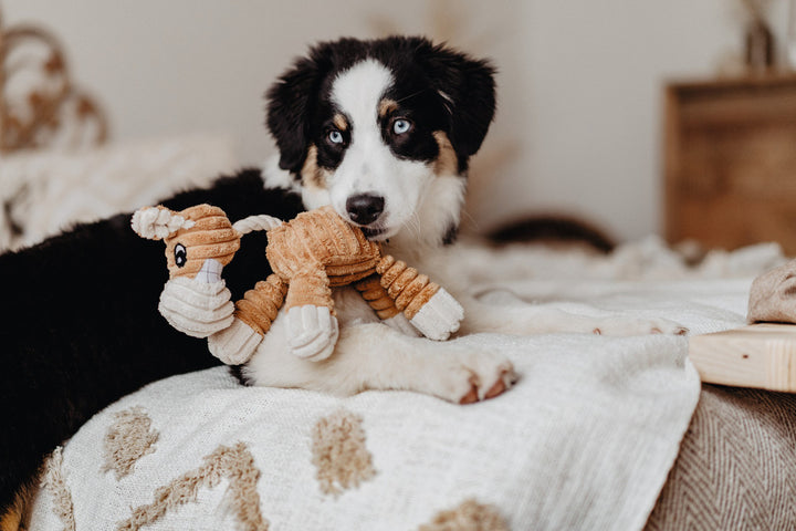 HUGGLY ZOO Giraffe Dog toy